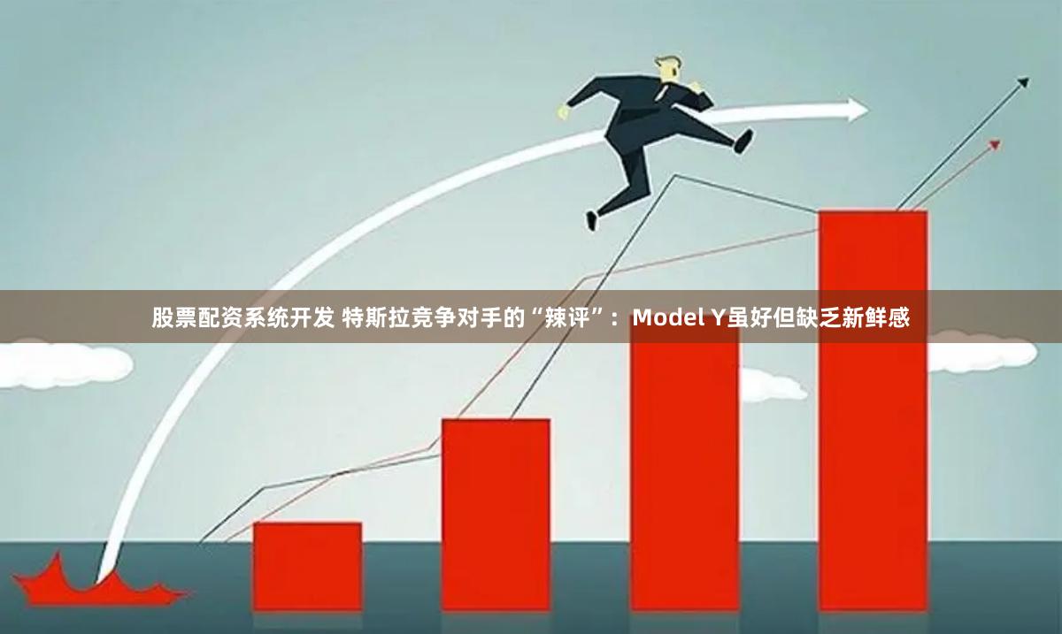 股票配资系统开发 特斯拉竞争对手的“辣评”：Model Y虽好但缺乏新鲜感