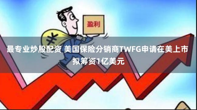 最专业炒股配资 美国保险分销商TWFG申请在美上市 拟筹资1亿美元