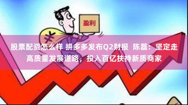 股票配资怎么样 拼多多发布Q2财报  陈磊：坚定走高质量发展道路，投入百亿扶持新质商家