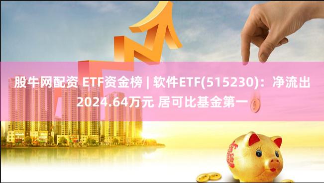 股牛网配资 ETF资金榜 | 软件ETF(515230)：净流出2024.64万元 居可比基金第一